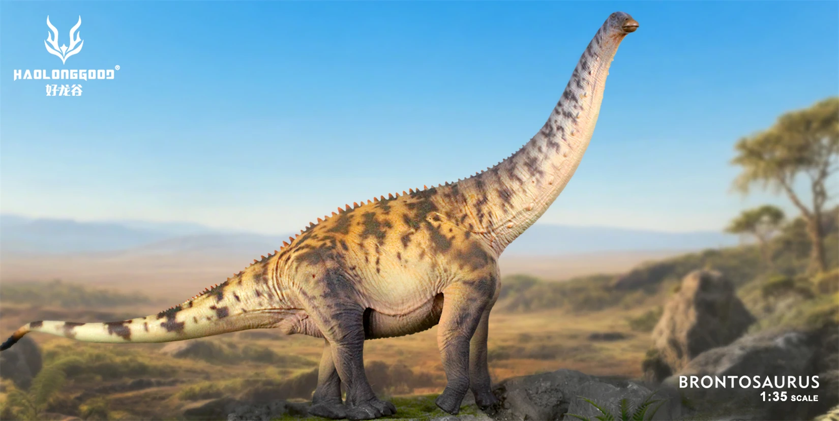 HAOLONGGOOD Scala 1:35 Brontosauro Modello Dinosauro Animale Figura Scena Decorazione Regalo di Compleanno Collezione Statua Giocattoli