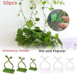 Plant Climbing Wall Clip, gancho auto-adesivo Rattan, redutor adesivo Rattan Clip, dispositivo de fixação invisível para jardim, 1 pc, 50pcs