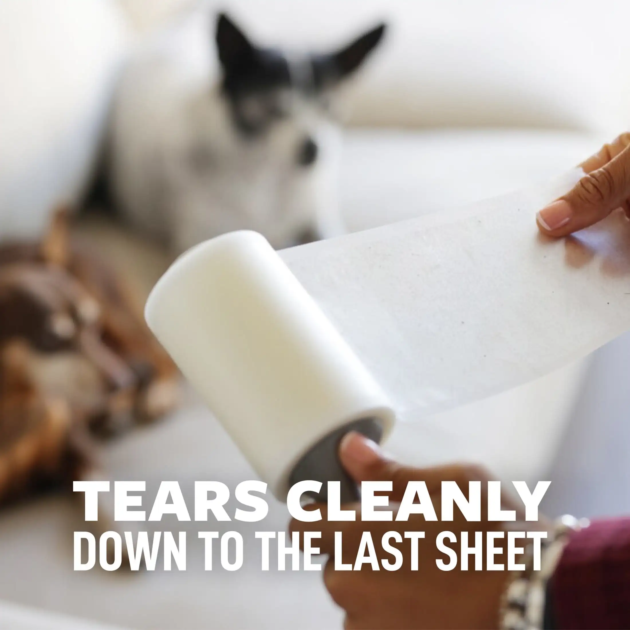 Rullo per pelucchi extra appiccicoso, 95 fogli per rullo