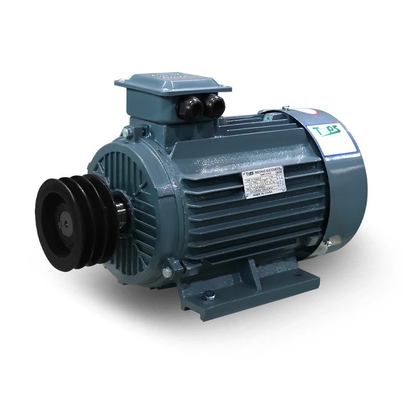 LANDTOP 50Hz High Efficiency Cast Iron Three Phase AC Motor With Pulley 415V Industrial Induction Asynchronous Electric Motor