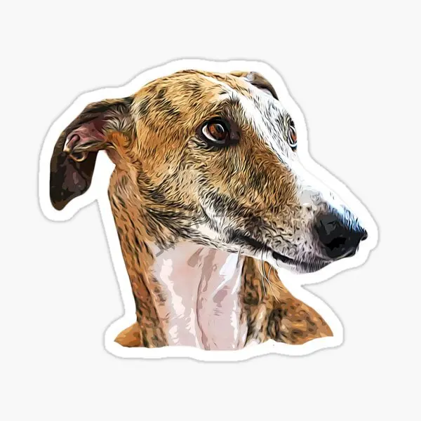 

Spanish Lion Dog Greyhound Car Stickers Vinyl Self Adhesive Flower Laptop Luggage Car Accessories