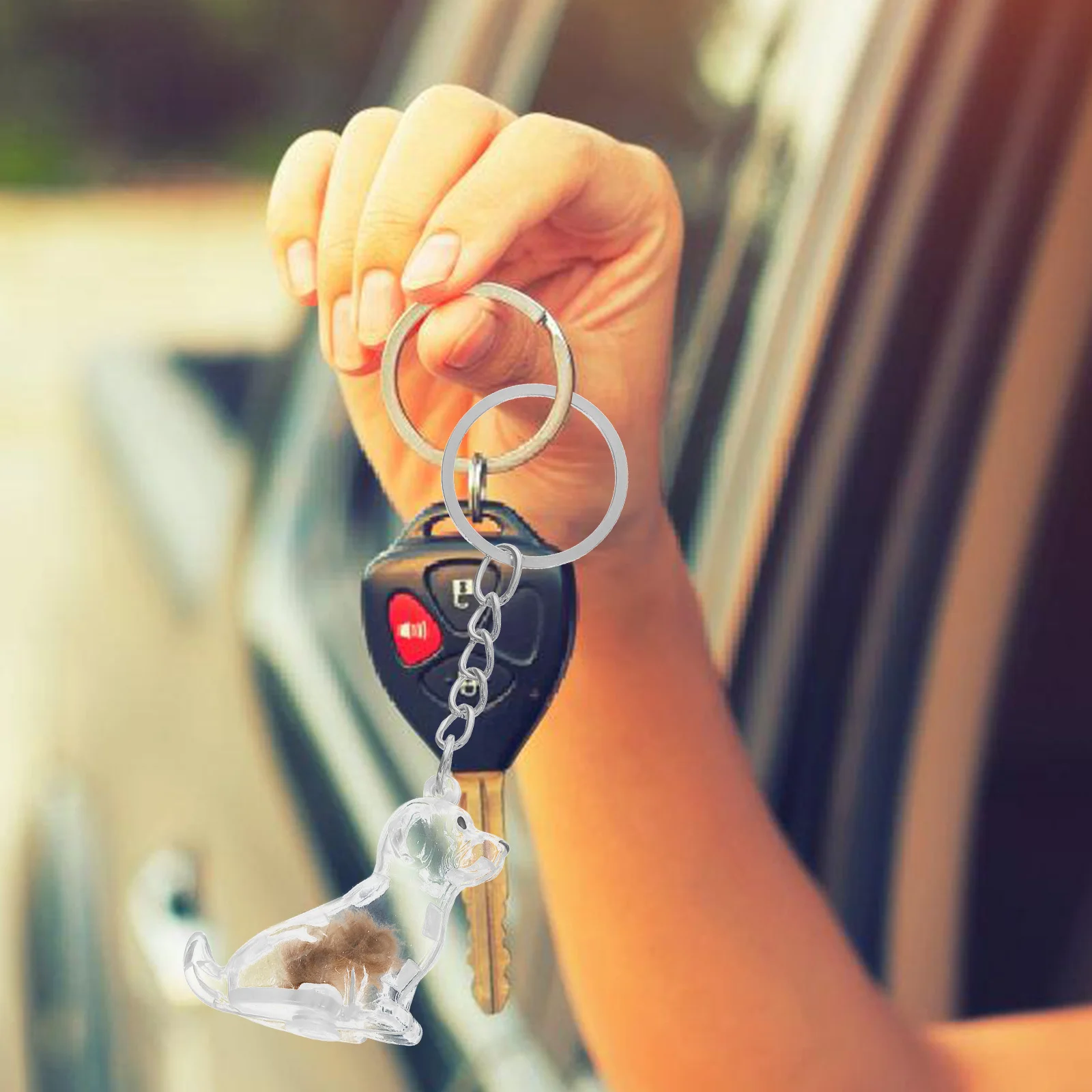 

2Pcs Dog Hair Keepsake Box Transparent Pet Memorial Keychain Storage Organizer for Travel and Home Pet Storage Box