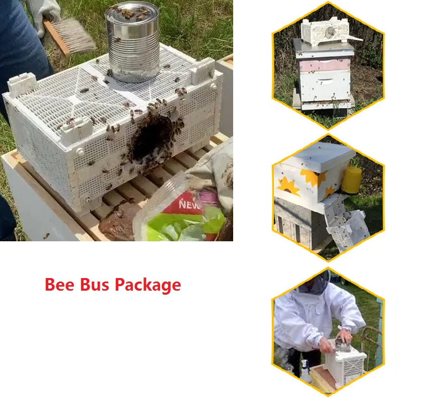 

Beekeeping Transport Cages Bee Bus Package Queen Bees Post Room Cage Queen Bee Cage King Prisoner Cage Beekeeping Equipment