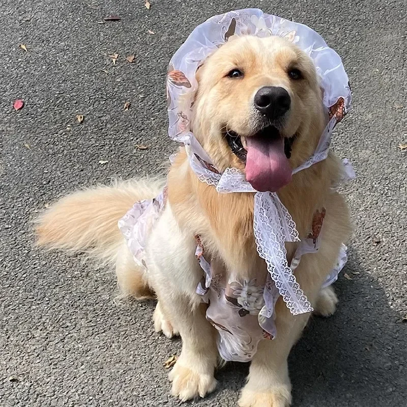 Summer Dog Dress Hat Poodle Schnauzer Bichon Frise Samoyed Border Collie Husky Labrador Golden Retriever Clothes Pet Clothing