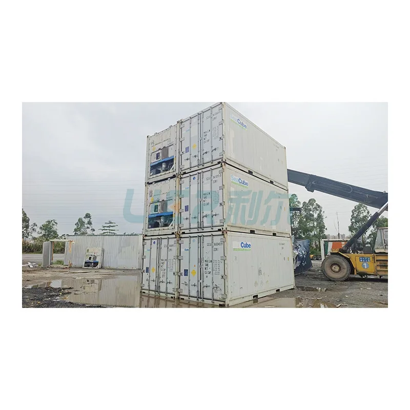 22R1 Reefer Container USA Canada Use Container