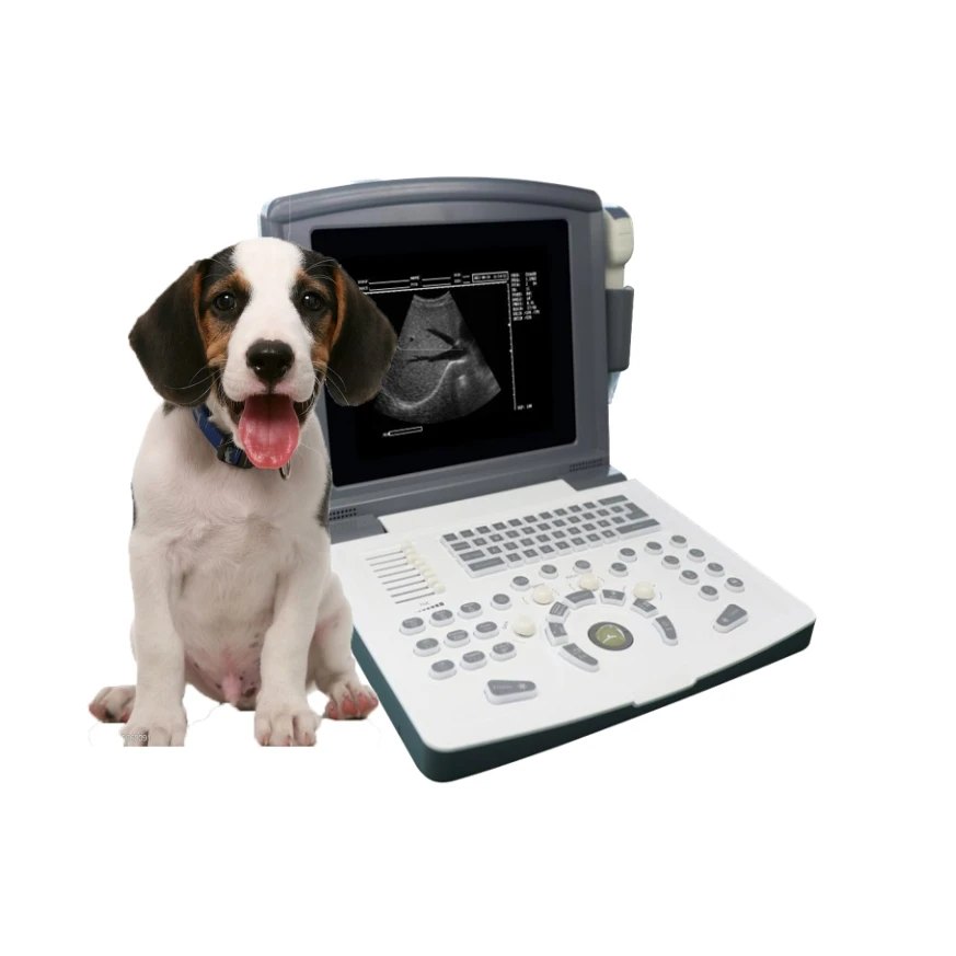 Promotion 3D portable vet ultrasound veterinary specialized animal body scanner pet clinic