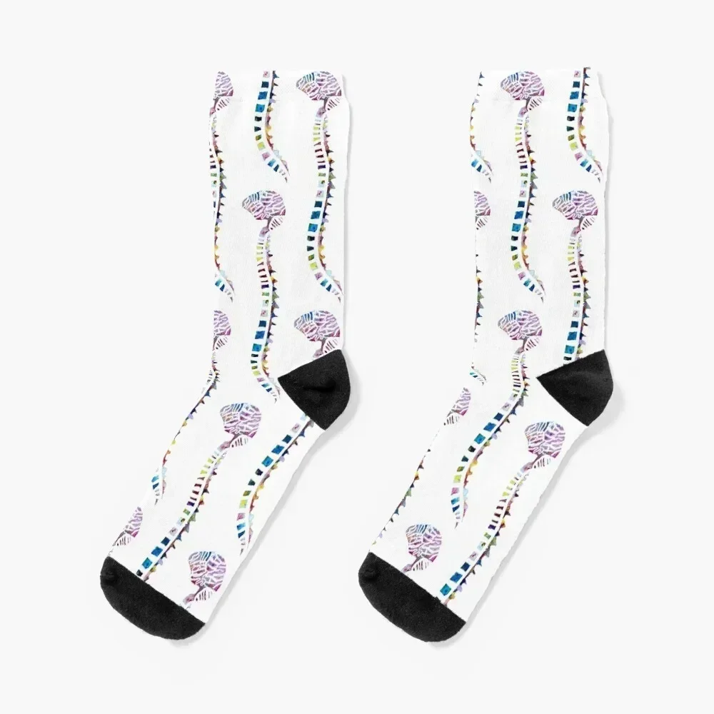 

Funfetti Brain and Spine (White Pattern) Socks Stockings compression winter Children's Boy Socks Women's