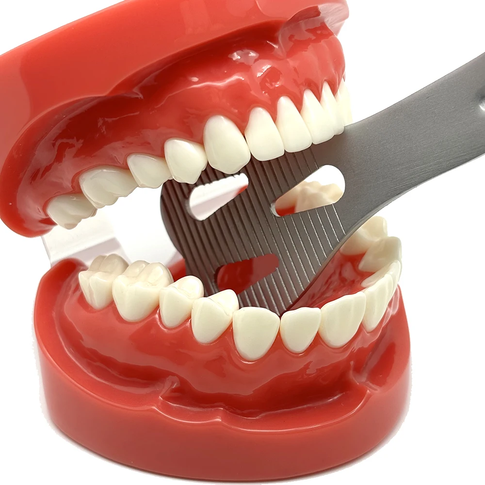 Dental Lingual Isolation Retractor Mouth Gag and Oral Opener for Tongue Retraction and Improved Access During Dental Procedures