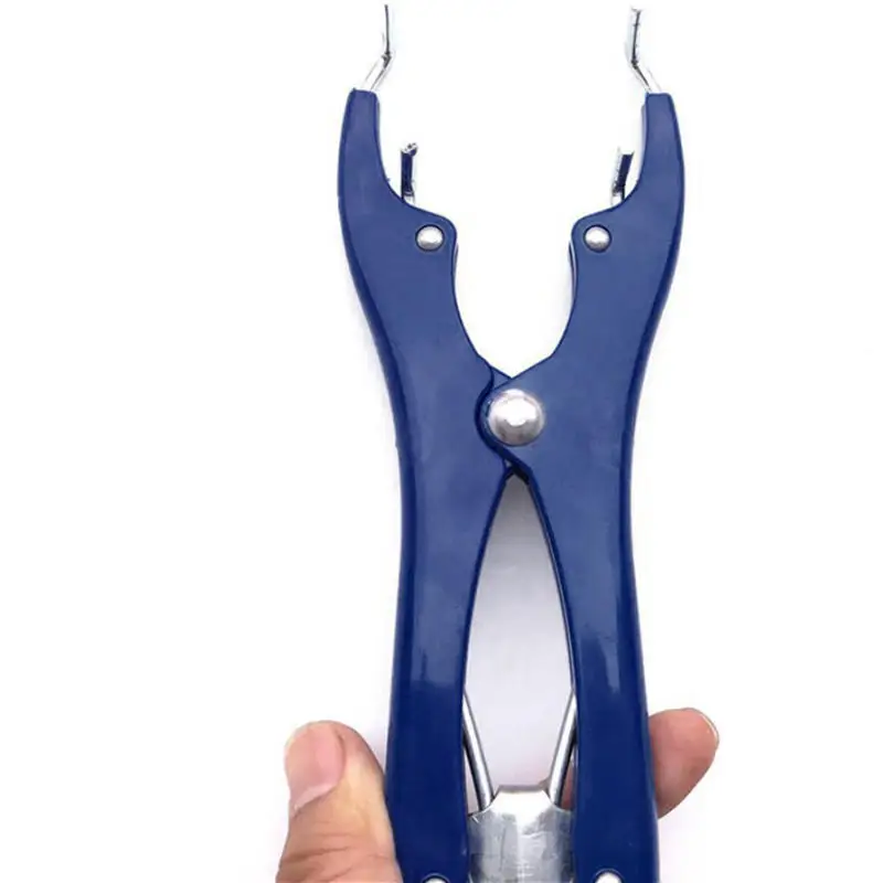 Balloon Expanding F…