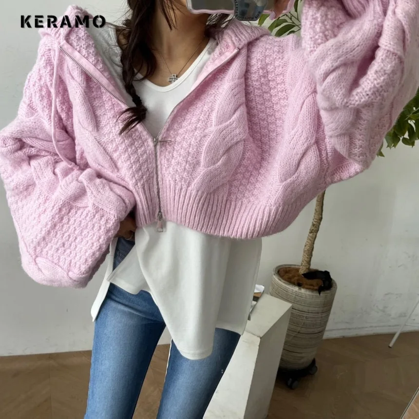 2025 Summer Women's Casual Zipper Knitting Long Sleeve Cardigans Korean Solid Color Loose Fit Hooded Coat Fashion Sweater