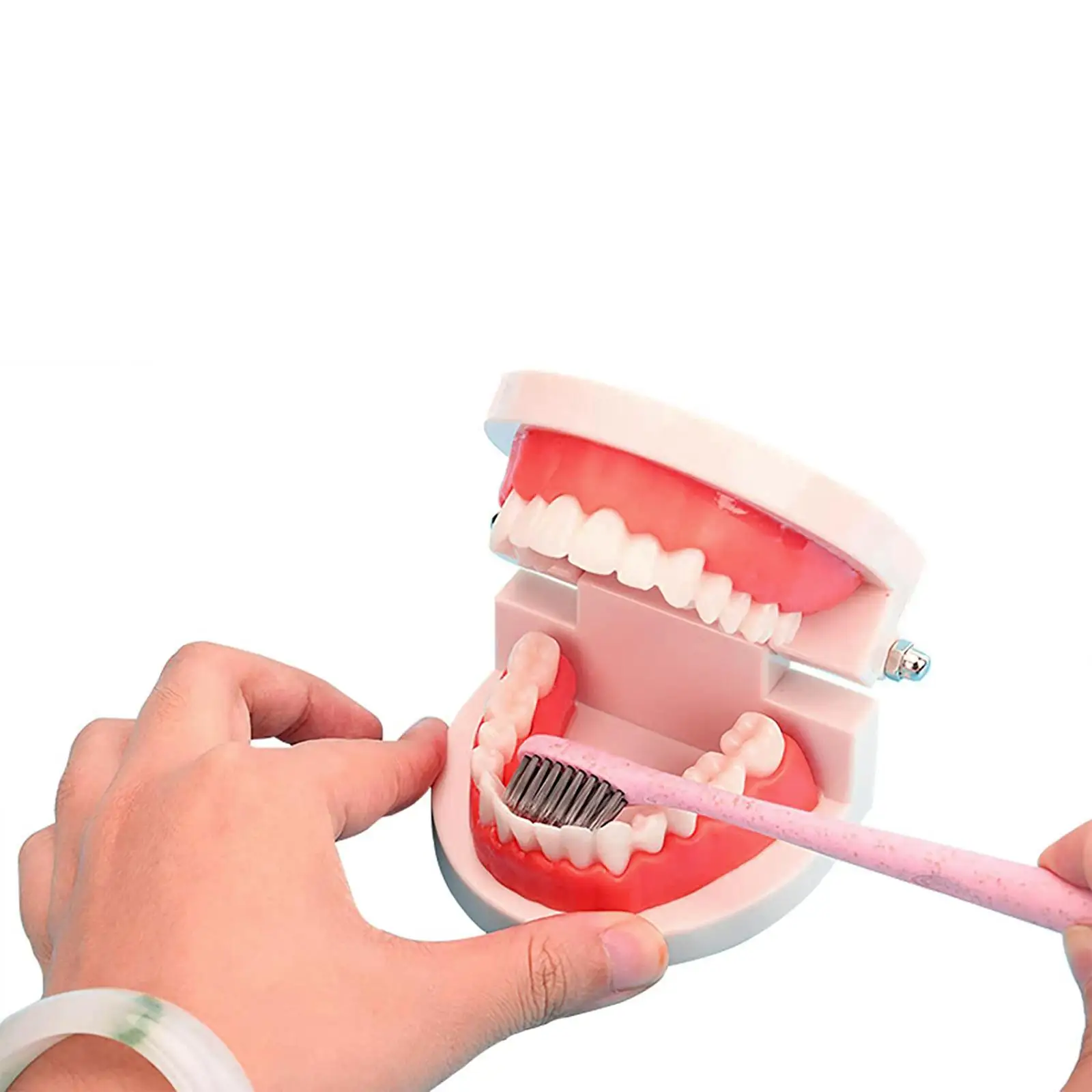 Kids Dental Mold Tooth Gem Kit with Fake Teeth Accessories for Home Teeth Brushing Demonstration