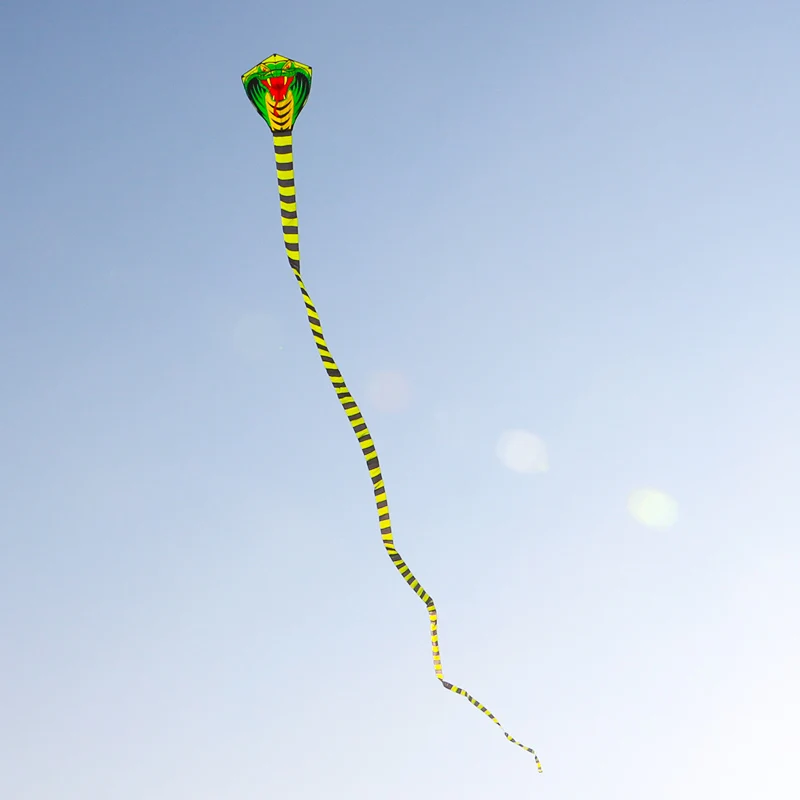 Diversión al aire libre, cometa de serpiente grande, pipa de Cobra, línea voladora, juguetes al aire libre para adultos, cometas de pájaros, cometa de águila, Animal Wei Kite Factory koi
