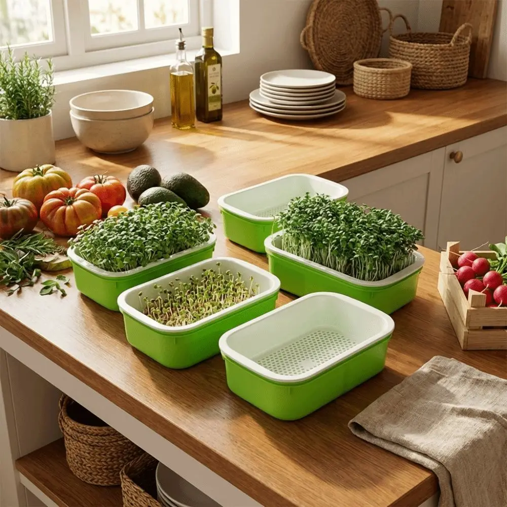 2Pcs Double Layer Germination Tray Plastic High Ventilation Hydroponic Planting Tray Grid Design Cultivation Pot