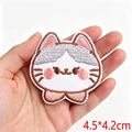 PE16471CT