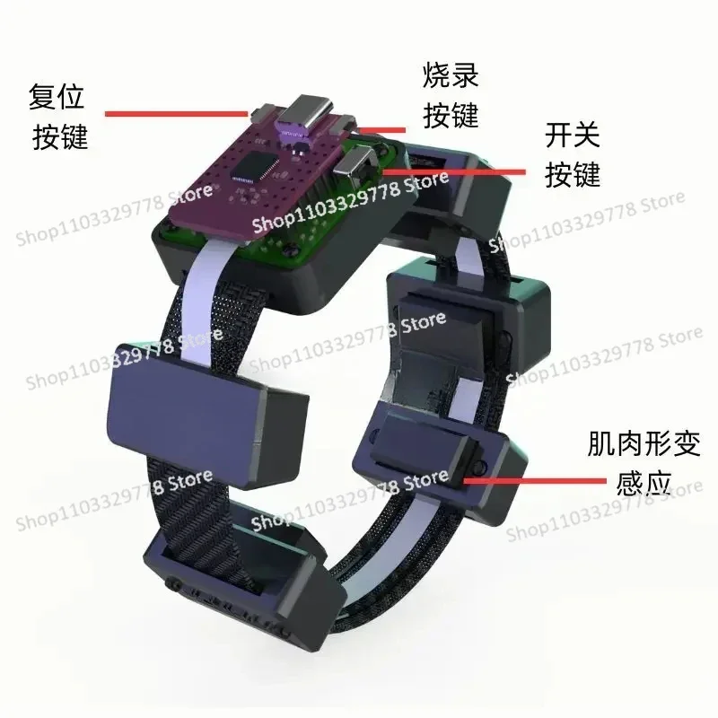 Muscle Electrical Sensor Muscle Deformation Simulation Signal EMG Bracelet Collection and Detection Module Wearable Armband