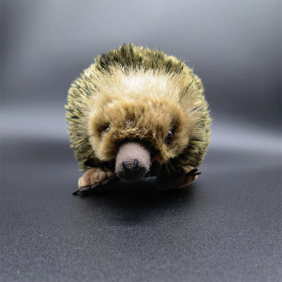 Realistisches Echidna-Plüschtier, Maulwurf-Plüschtier, lebensechter stacheliger Ameisenbär, Stofftier, Echidna-Simulationspuppe, Geschenk