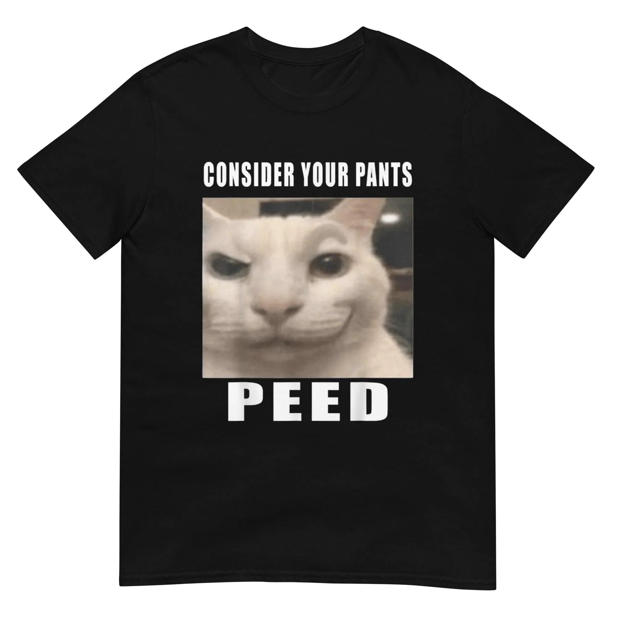 Consider Your Pants Peed T Shirt