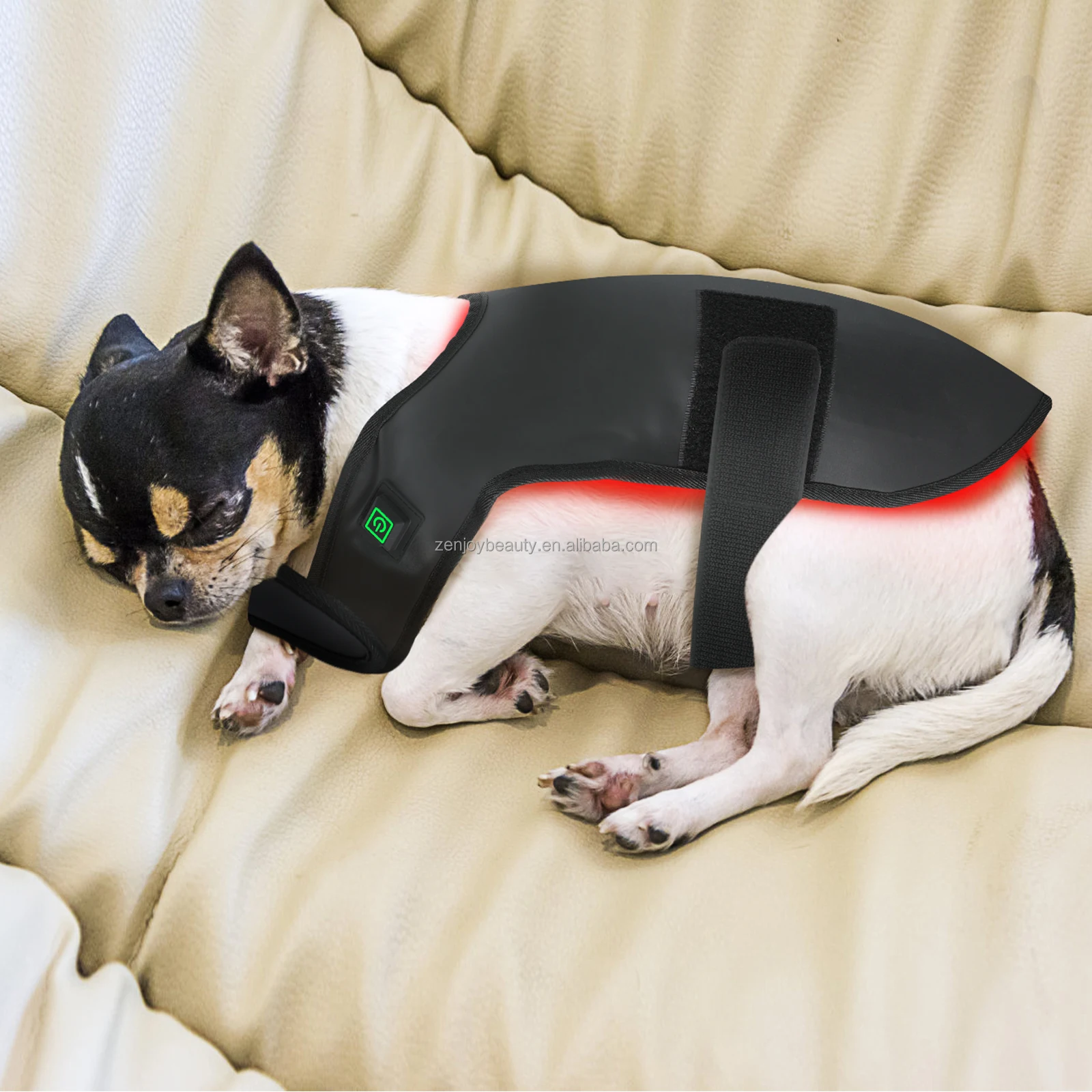 2026 Wholesale Home Use Pet Dog Body Care Infrared Red LED Light Therapy Belt with Pain Relief and Built-in Battery for Dogs