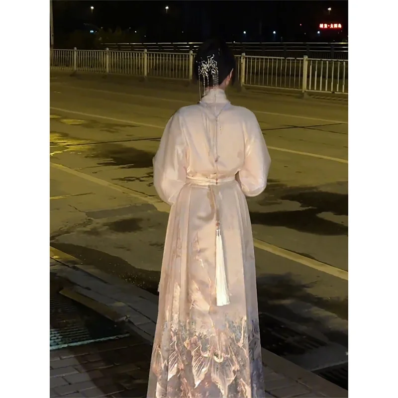 New Chinese Style National Style Horse-faced Skirt Female Spring 2024 New Ming Hanfu Daily Commuting Wear Matching Top Casual