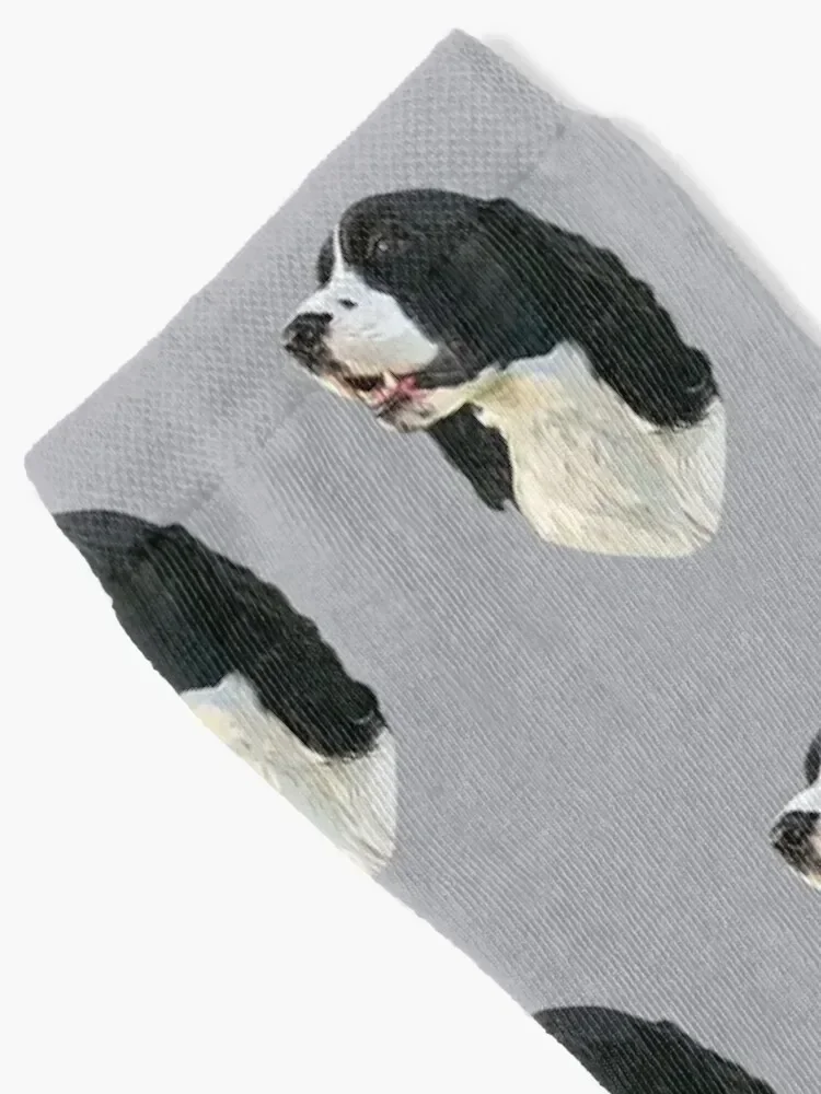 Springer Spaniel Black and White Socks halloween custom sports man japanese fashion Boy Socks Women's