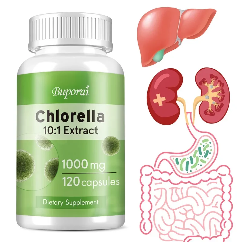 Chlorella-Extrakt – entgiftet, beseitigt freie Radikale, verbessert die Verdauung, unterstützt die Gesundheit des Immunsystems