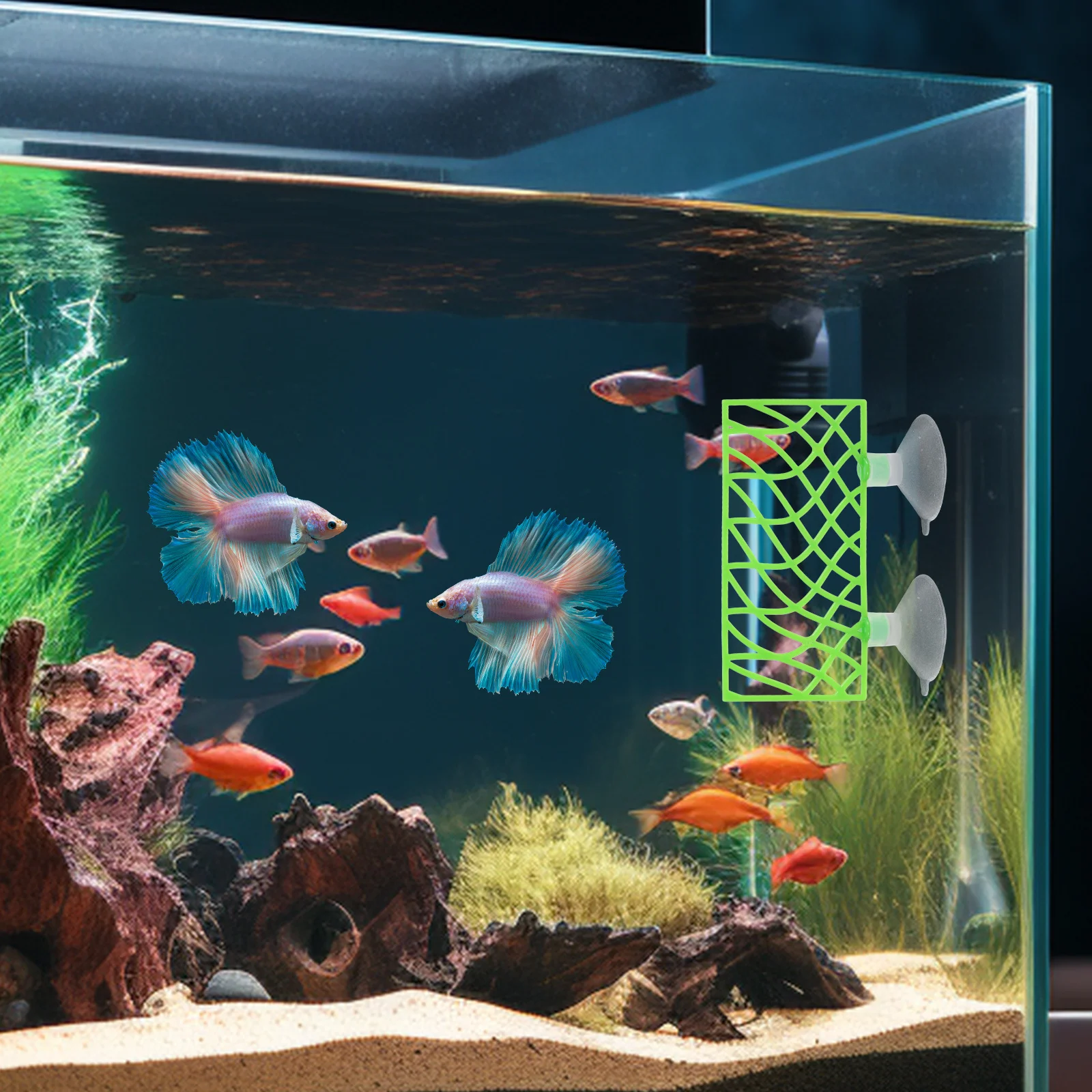 

1Set Fish Tank Hollowed Tunnel Betta Fish Resting Bed Aquarium Tank Decor Safe Hideaway Easy Clean ABS Material