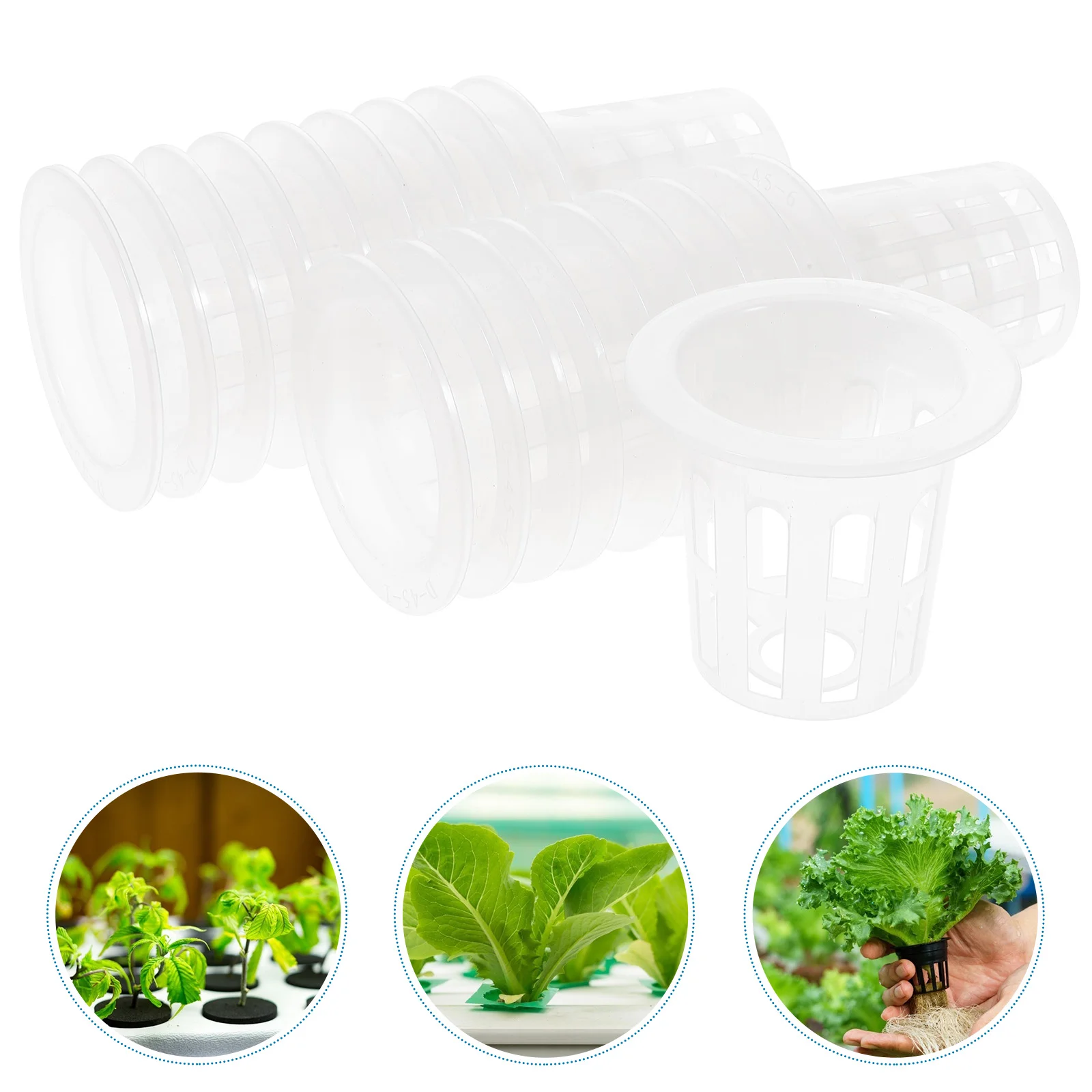 100 Pcs PP Hydroponic Planting Baskets 61x55CM Netting Pots Net Cups Universal for All Vegetables Plants Ideal for Home