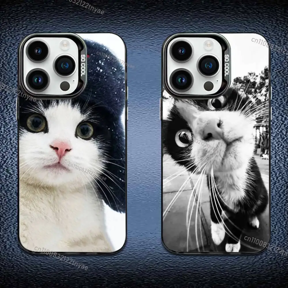 

Cute and funny fat cat Phone Case For iPhone 17,16,15,14,13,12,11 Pro Max Plus Colorful Gradient Soft TPU Black Cover
