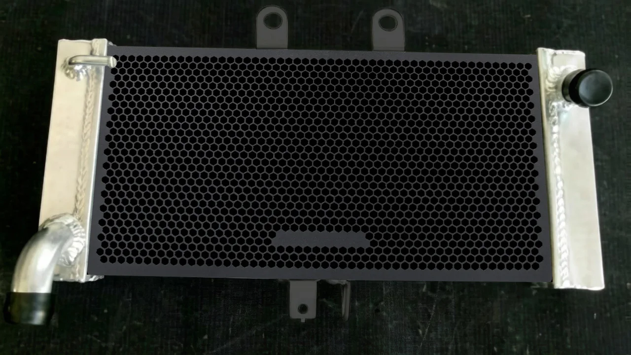 

For SUZUKI GSF650 Bandit GSF650S GSF650 Bandit 650 2007- 2017 2016 Radiator Grille Cover Guard Protection Motorcycle Accessories