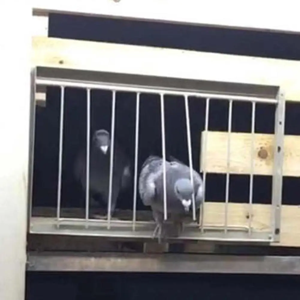 30/40X26ซม.บานพับนกพิราบประตู Movable กระโดดกรงประตู Single Entrance ดักจับประตู Homing ชิ้นส่วนอุปกรณ์สำหรับนกรัง