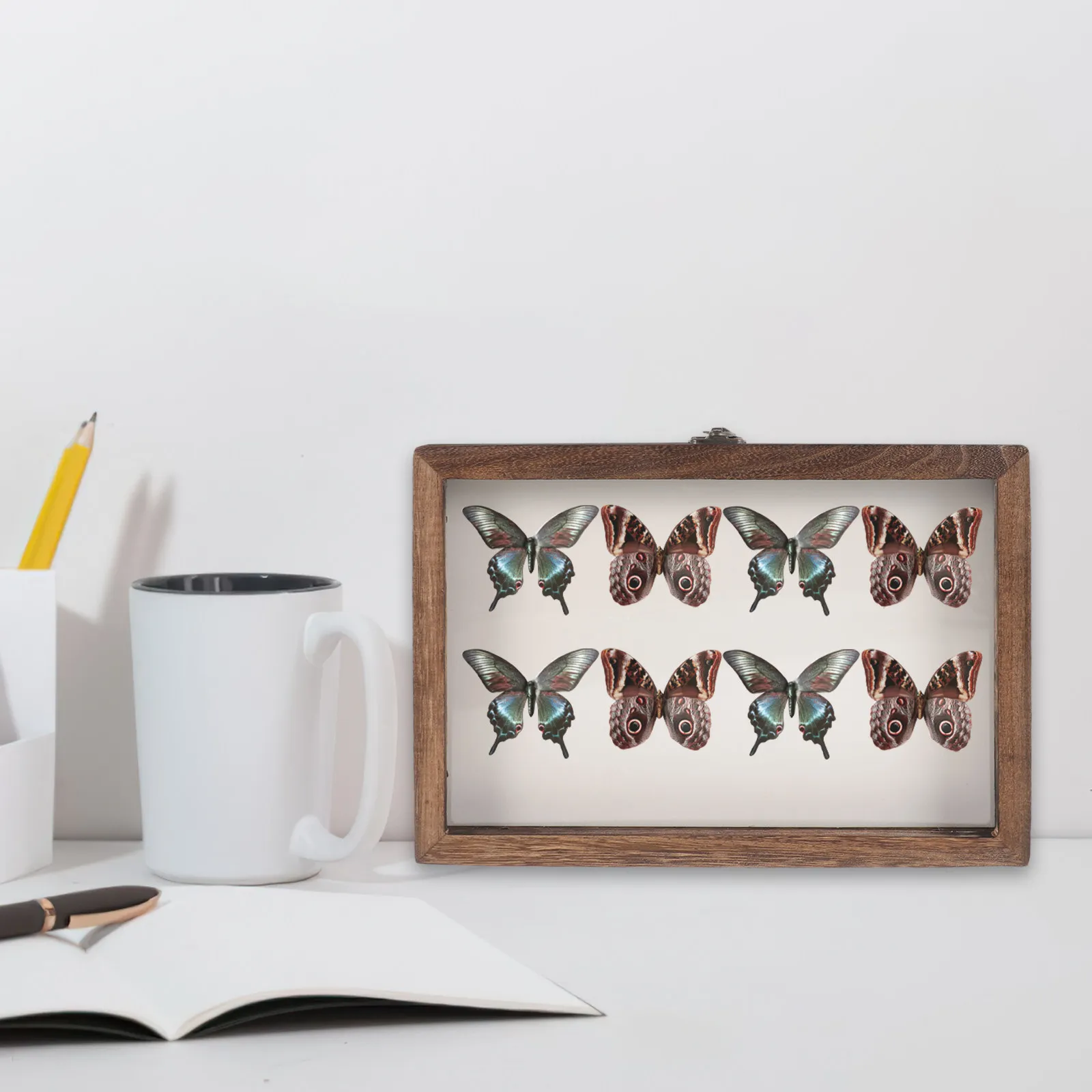 1Set Vintage Wooden Insect Display Case Clear Window Specimen Box Compact Storage Holder for Bugs Jewelry Dried Flowers