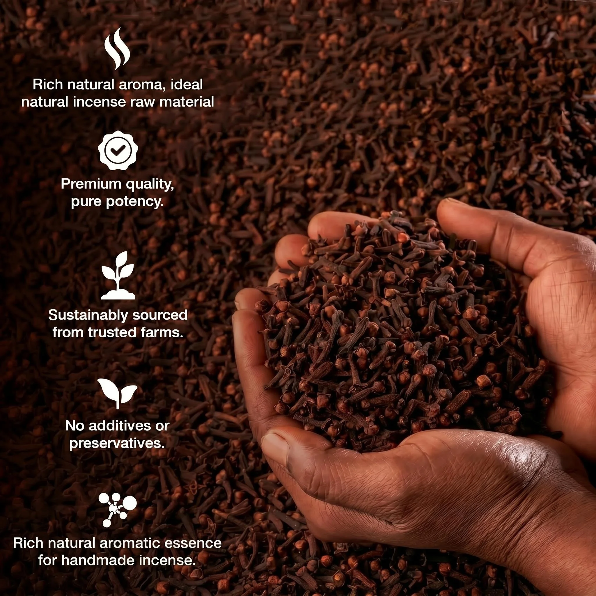 Natural Whole Cloves, Aromatherapy Fragrance, 100G/200G/300G/400G/500G/1000G, for Aromatherapy Use Only