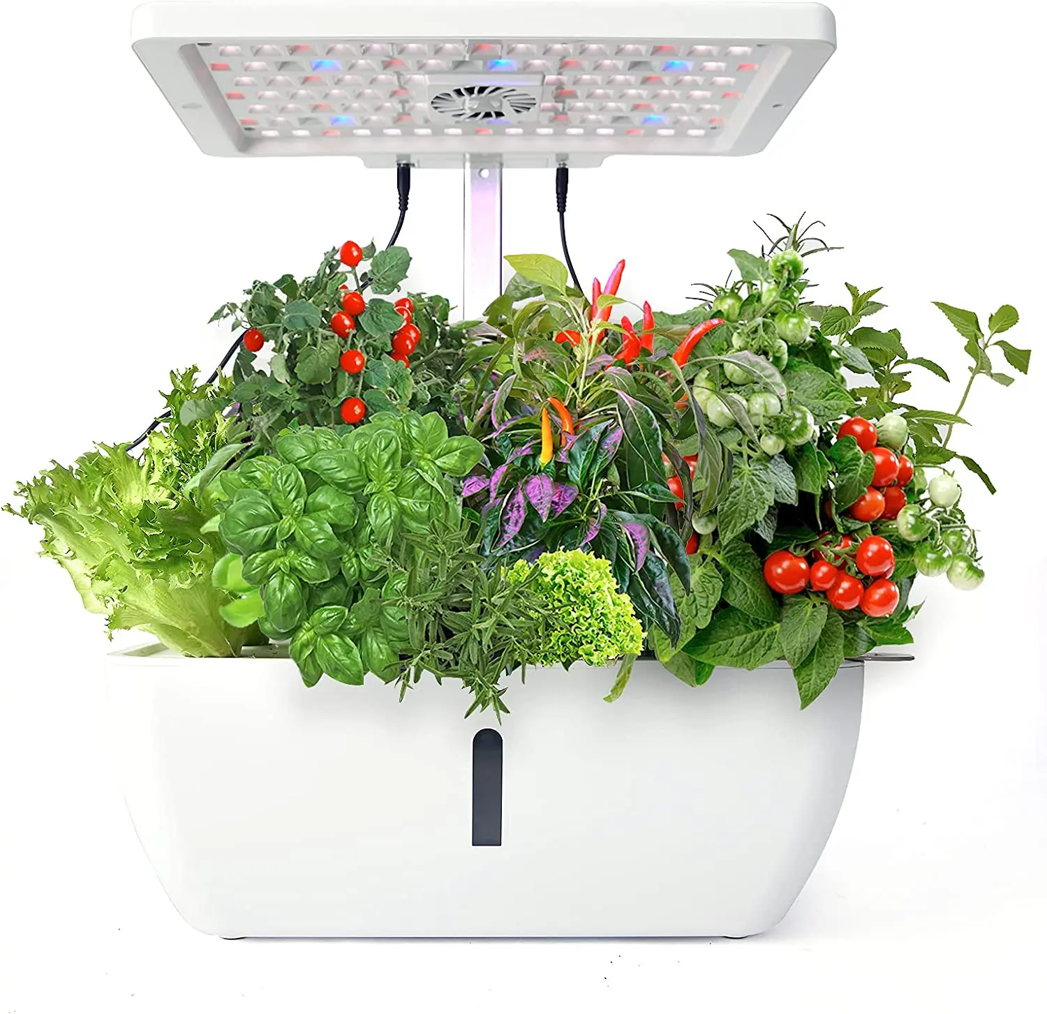 

Hydroponic Growing System 12 Holes Indoor Herb Garden Kit With LED Grow Light Gardening System Smart App Connected Phone