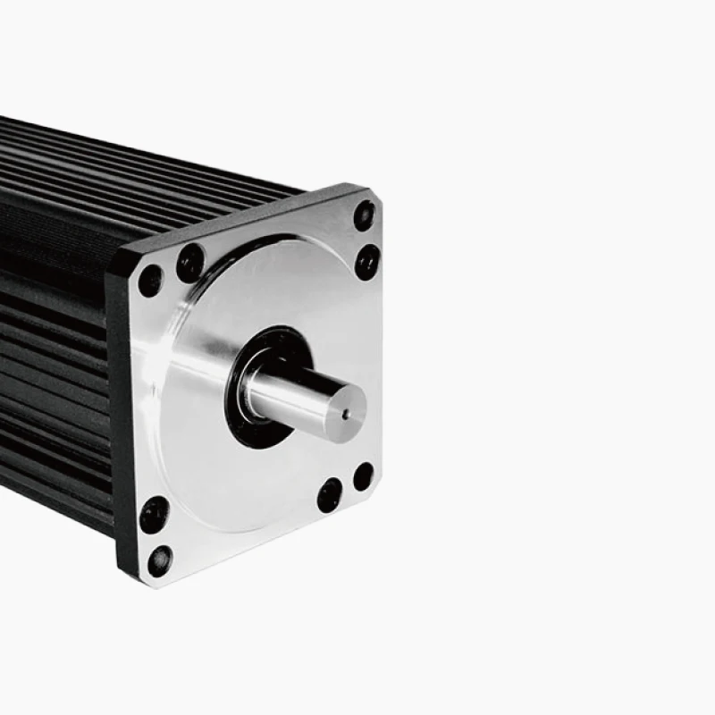 PrimoPal 110mm Heavy Lift Brushless Motor 1200W 1600W 1800W 2KW 2200W 48V Big High Power High Torque BLDC Motor for Industry