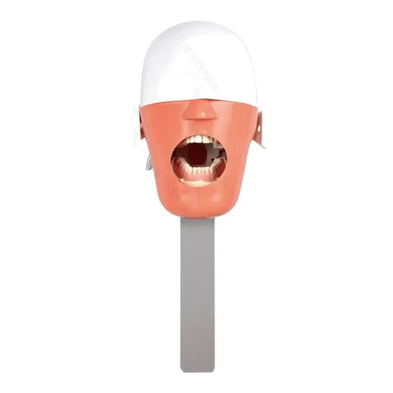 YTYIN SY-YM14-3 أداة محاكاة فانتوم عن طريق الفم مجموعة تعليم طبيب الأسنان نموذج دراسة التدريس المدرسي #1