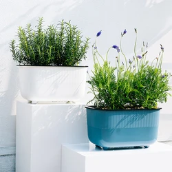 Balcony Lazy People Planting Vegetable Pot Vegetable Box Production Wholesale Plastic Flower Pot New Flower Groove