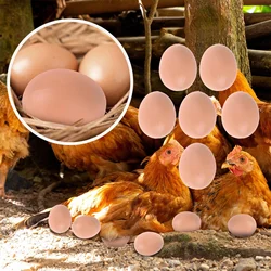 5/10PCS Hatching Egg Easter Hen Poultry Hatch Breeding Simulation Fake Plastic Artificial Eggs DIY Painting Egg Educational Toys