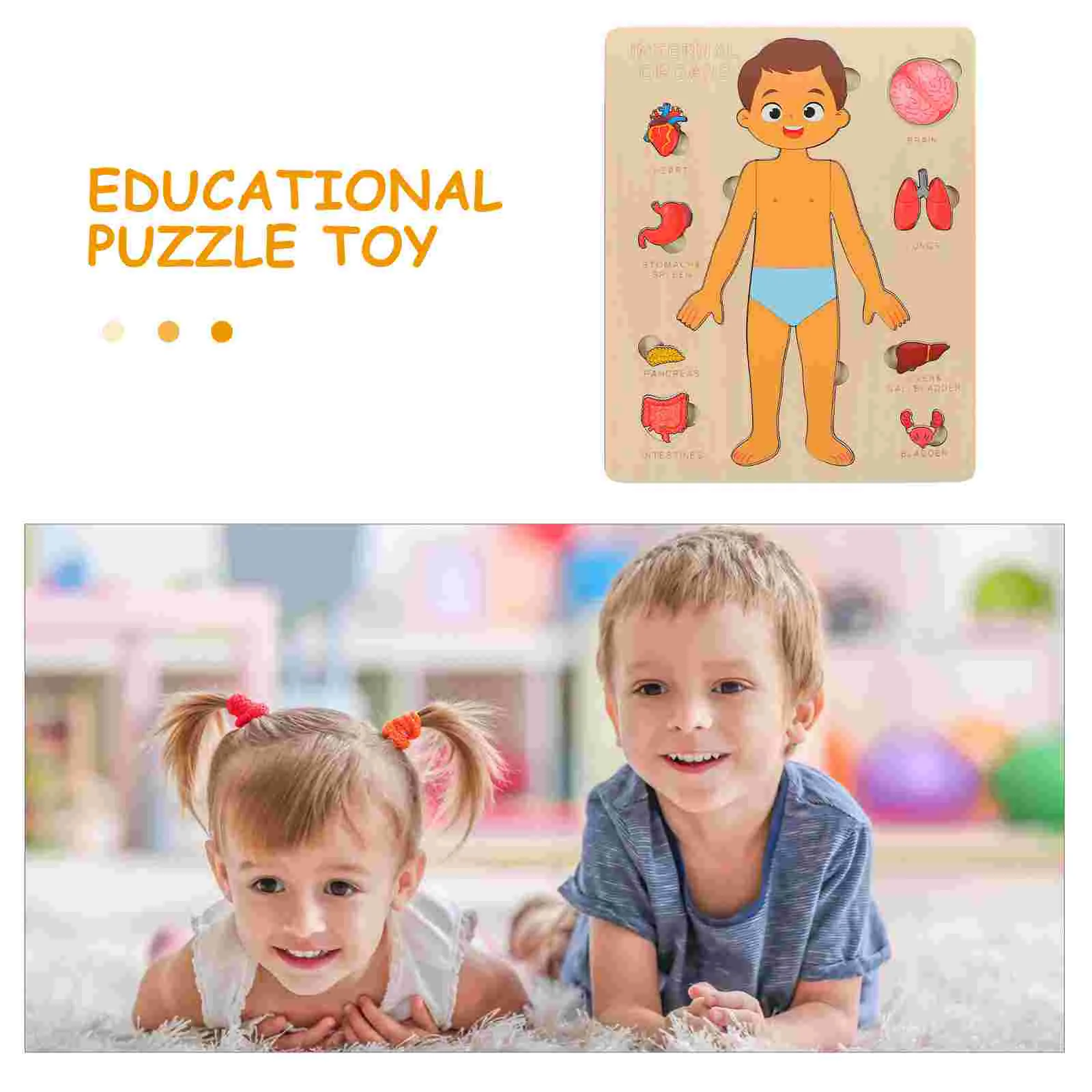 Human Body Structure Puzzle Anatomy Organs Model Parts Toy Learning Wooden Educational Children Cognitive Tool Puzzles