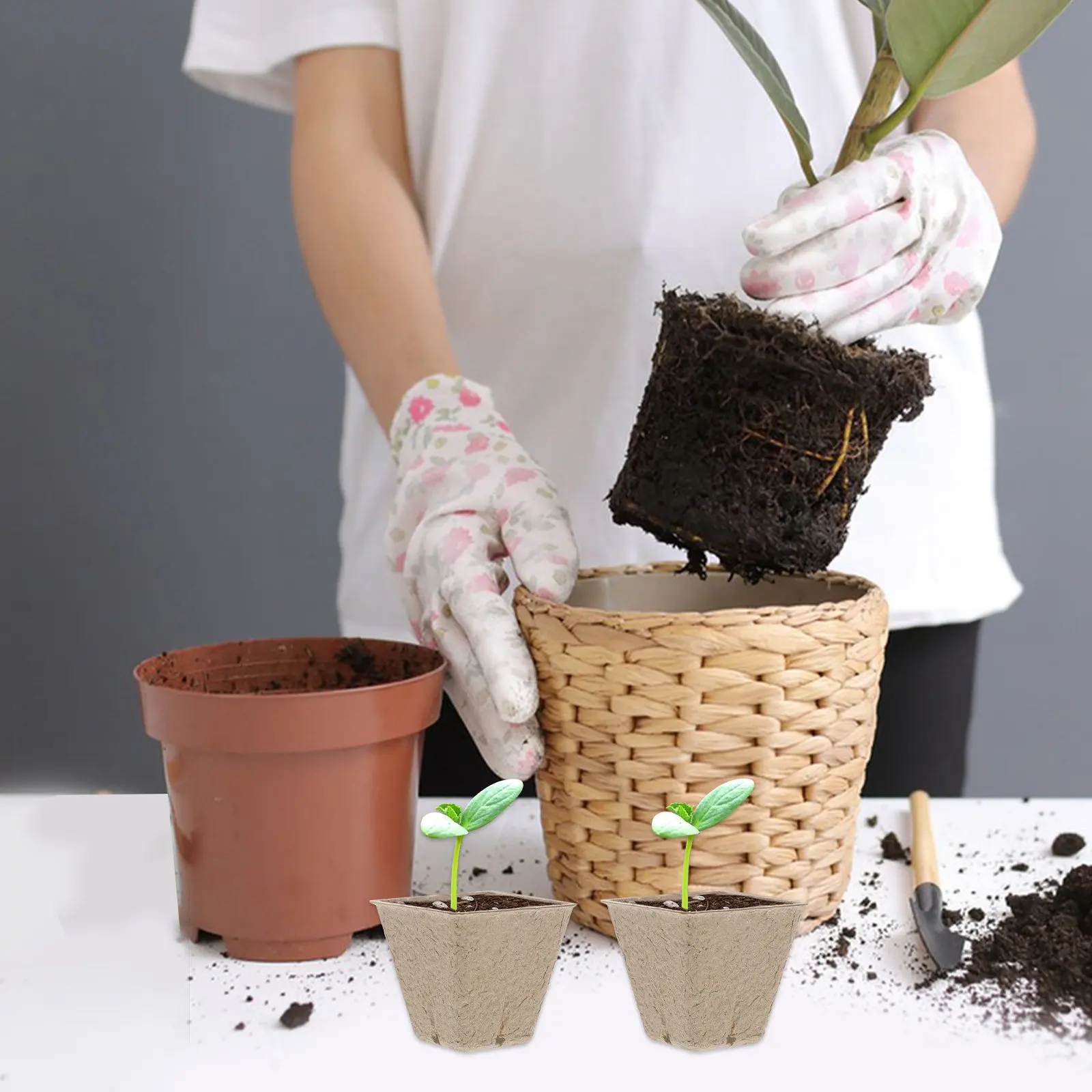 

50 шт. квадратных бумажных горшков для рассады, набор для выращивания растений, детский садовый набор, DIY-набор для выращивания растений, развивающий и увлекательный набор