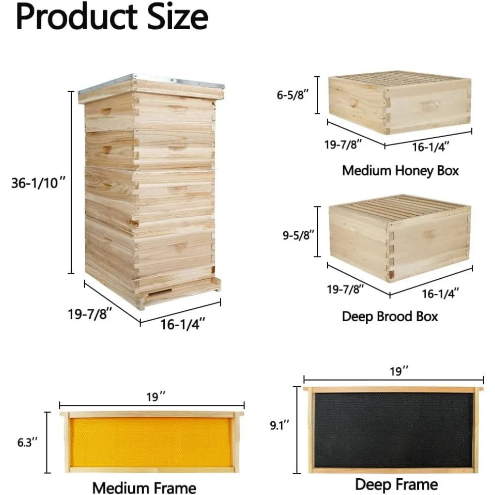 Colmillos de abejas de 10 marcos y kit inicial completo, cajas de colmena de abejas que incluyen 2 cajas de colmena de abejas profundas y 2 cajas medianas para colmena con marcos de colmena