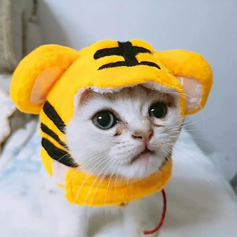 Funny Cat Cap Bear Plush Head Cover Cute Cat Dog Woven Warm Headdress Pet Hat Kitten Puppy Cosplay Costume Accessories