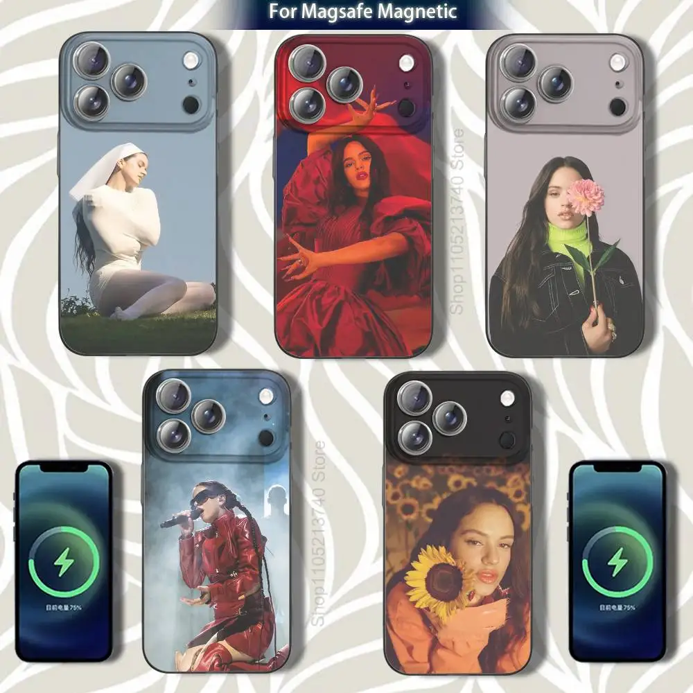 

R-ROSALiA L-LUX Phone Case For iPhone 16,14,11,17,13,15,12,Air,Plus,Pro,Max,E,Mini Grey Frosted for MagSafe Magnetic Wireles