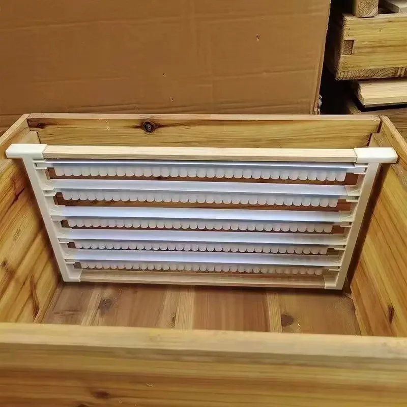 Double Rows Of Royal Jelly Frames Royal Jelly Bars Plastic Bees Specializing In High-Quality Pulp Extraction Wooden Frames