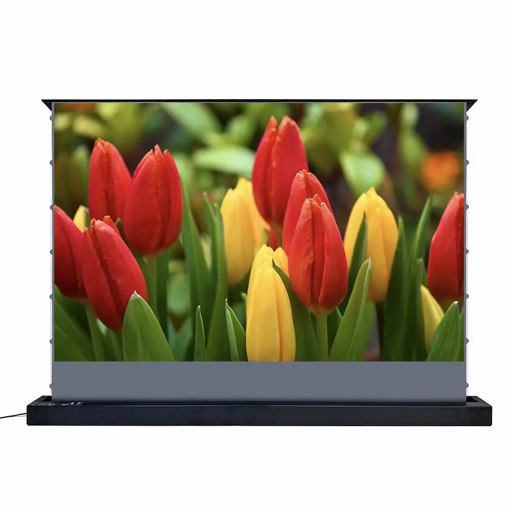 

120-дюймовый экран видеонаблюдения с обсидиановым освещением и длительным ходом на полу