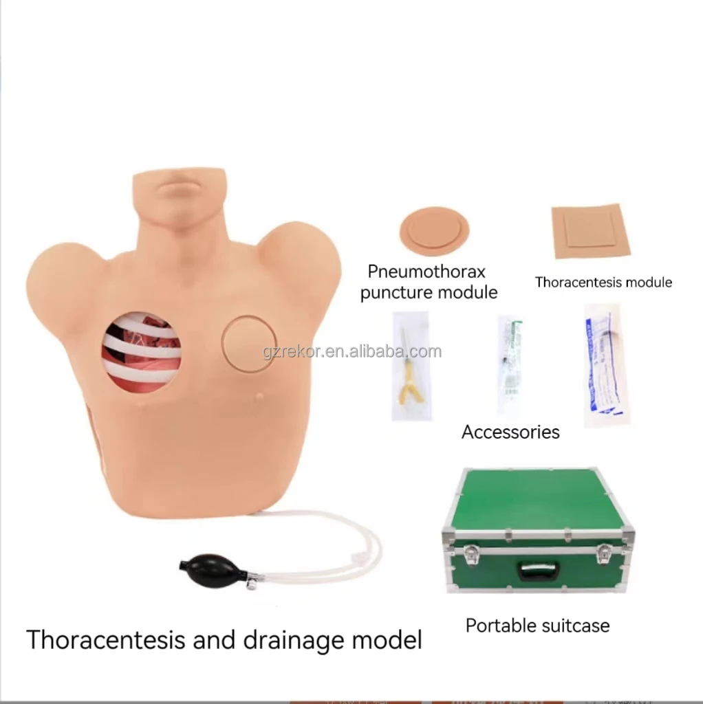 High quality pneumothorax Decompression hydrothorax puncture model Thoracentesis drainage simulation thoracic for first aid