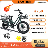 Lamtier K750 Electric CargoT ransport Bike 20\