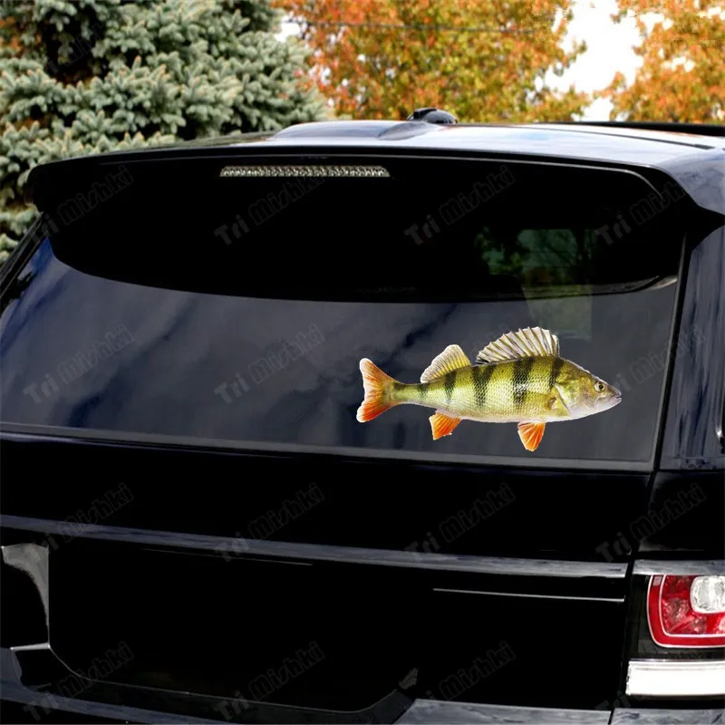 Tri mishki W1115 3D Fish River Perch Car Sticker PVC Decals Motorcycle Accessories sticker on Car Truck Bumper Laptop Fridge