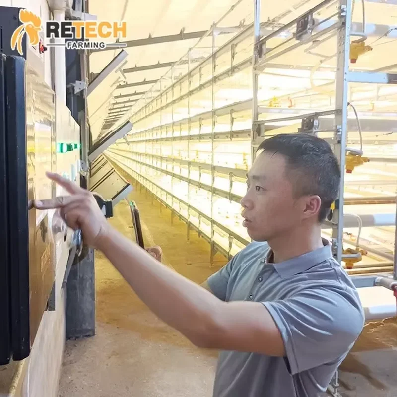 Automatic H-Type Battery Cages Chicken Cage for Broilers for Retech Farming Manufacturer