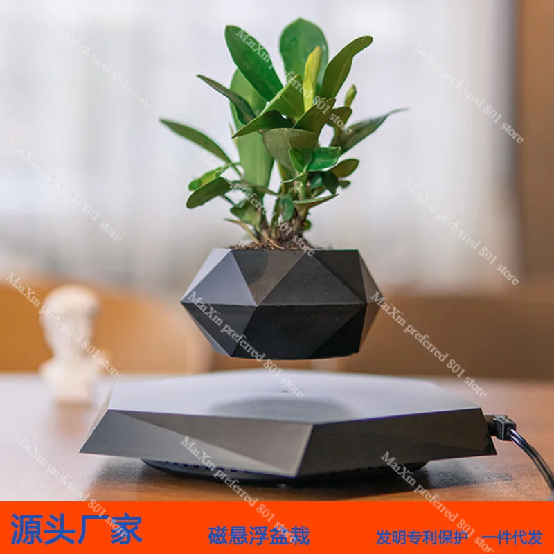 Cross-border maglev potted plants, flower pots, creative bonsai plants, flowers, strange ins wind home office ornaments