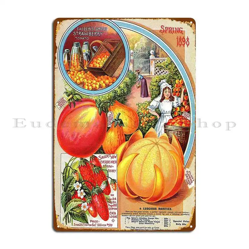 Oranges Strawberries Tomatoes Salzer S 1898 Metal Sign Retro Plaques Living Room Wall Designs Tin Sign Poster